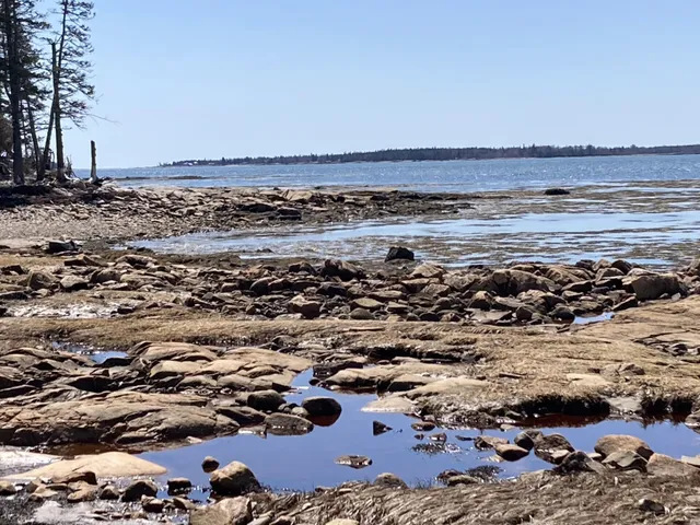 $225,000 | Lot #17 Wilderness Shore Road, Steuben, ME 04680