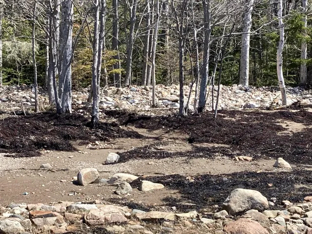 $225,000 | Lot #17 Wilderness Shore Road, Steuben, ME 04680