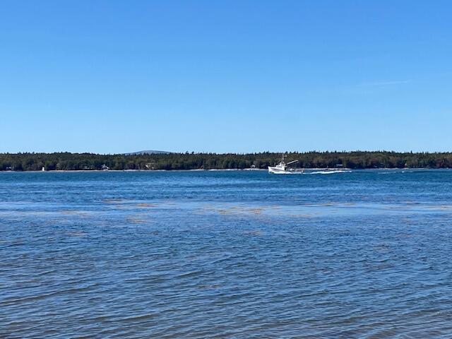 Lot #17 Wilderness Shore Road Steuben, ME 04680 - Photo 4 of 15 High Tide