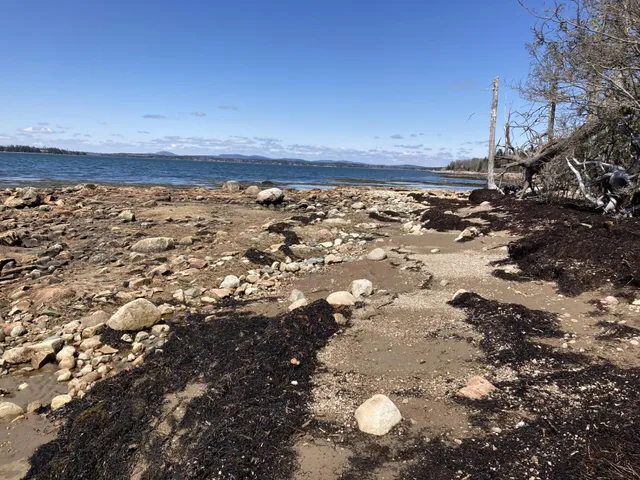 $225,000 | Lot #17 Wilderness Shore Road, Steuben, ME 04680