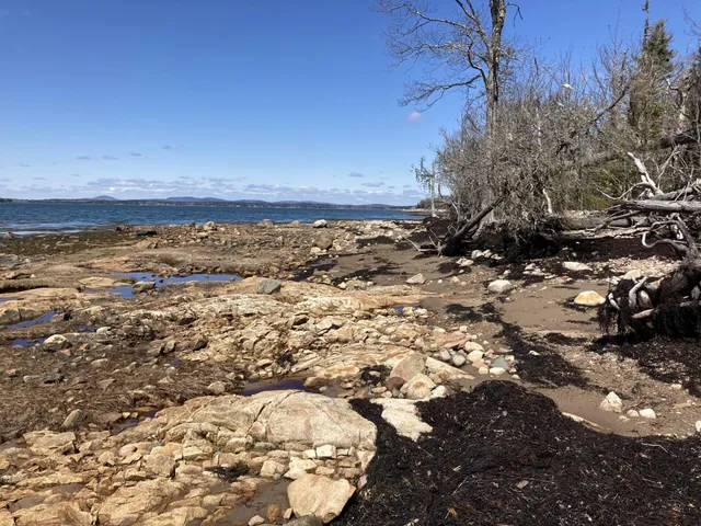 $225,000 | Lot #17 Wilderness Shore Road, Steuben, ME 04680