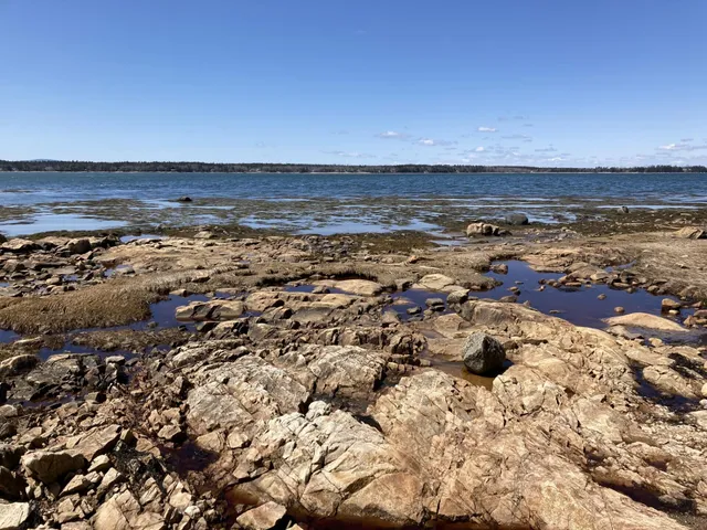 $225,000 | Lot #17 Wilderness Shore Road, Steuben, ME 04680