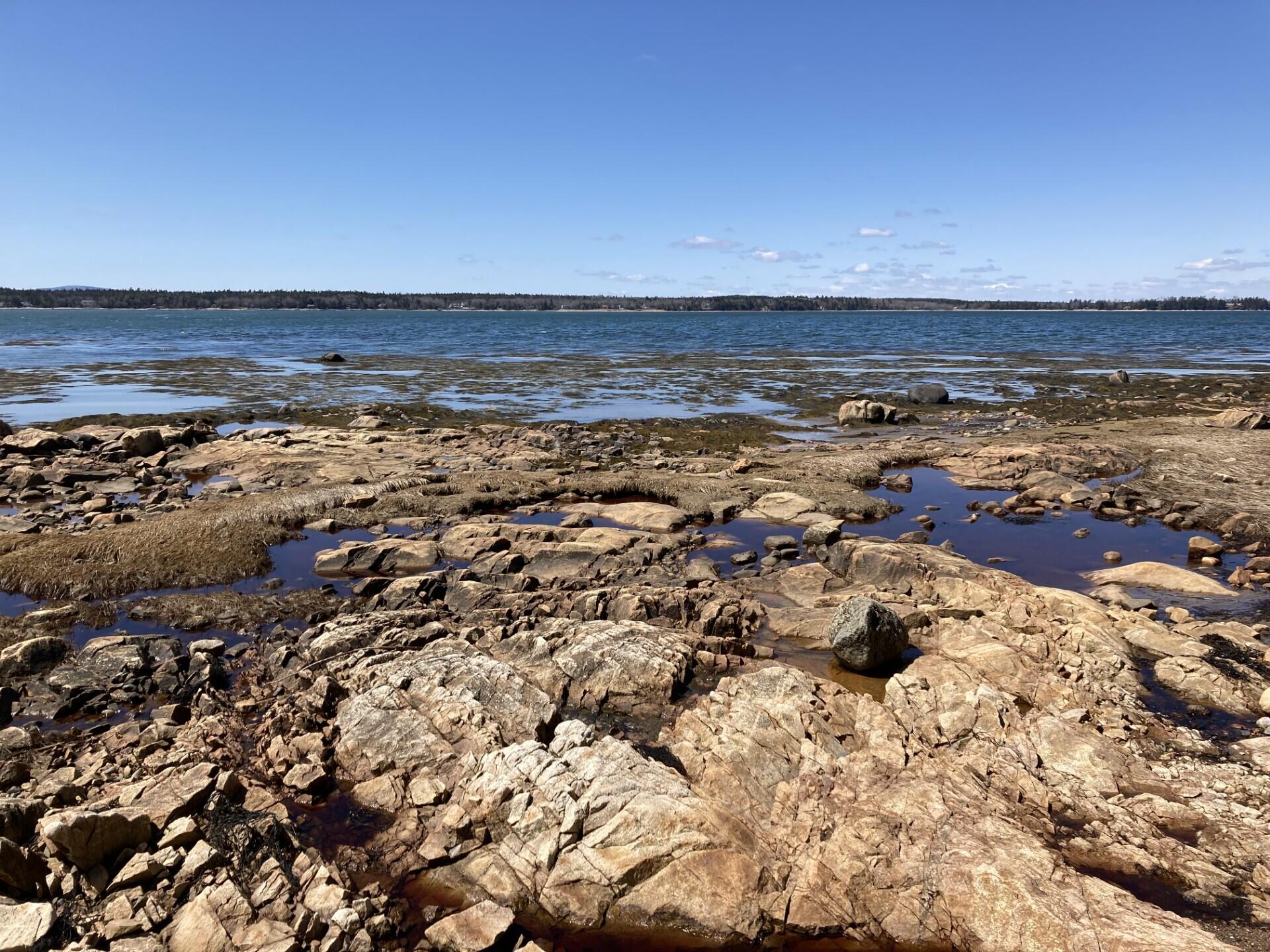 Lot #17 Wilderness Shore Road Steuben, ME 04680 - Photo 9 of 15 Granite shoreline
