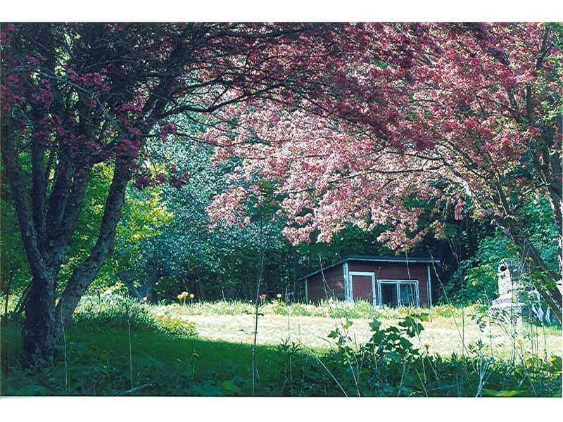16 Ferry Road Orrington, ME 04474 - Photo 10 of 31 Yard/Garden.