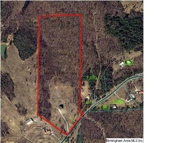 7015 Co Highway 24 Oneonta, AL 35121 - Photo 30 of 30