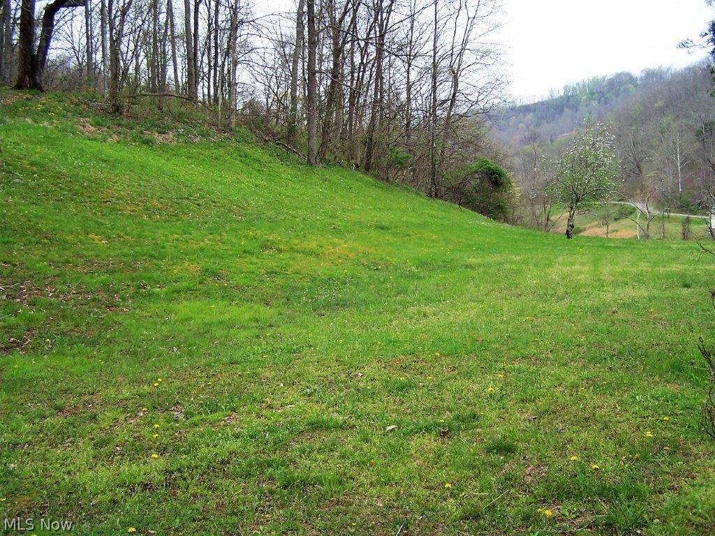 150 Trace Road Newton, WV 25266 - Photo 17 of 22