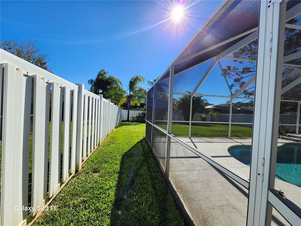 12518 Sparkleberry Road Tampa, FL 33626 - Photo 11 of 24 a view of a backyard