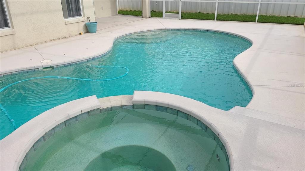 12518 Sparkleberry Road Tampa, FL 33626 - Photo 21 of 24 view of a swimming pool with a yard