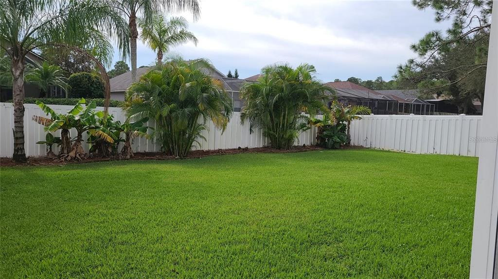 12518 Sparkleberry Road Tampa, FL 33626 - Photo 22 of 24 a view of a yard with a slide