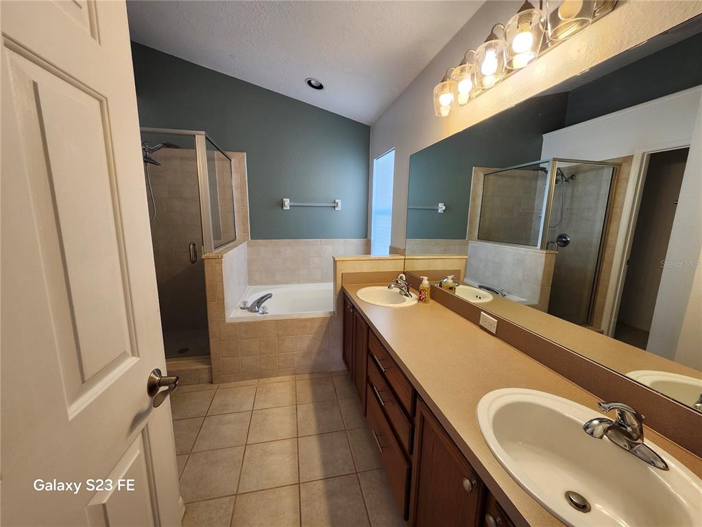 12518 Sparkleberry Road Tampa, FL 33626 - Photo 8 of 24 a bathroom with a tub sink and mirror
