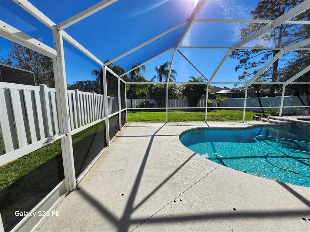 12518 Sparkleberry Road Tampa, FL 33626 - Photo 10 of 24 a view of a backyard with swimming pool