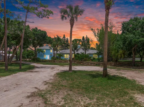 a view of a tree in front of a house
