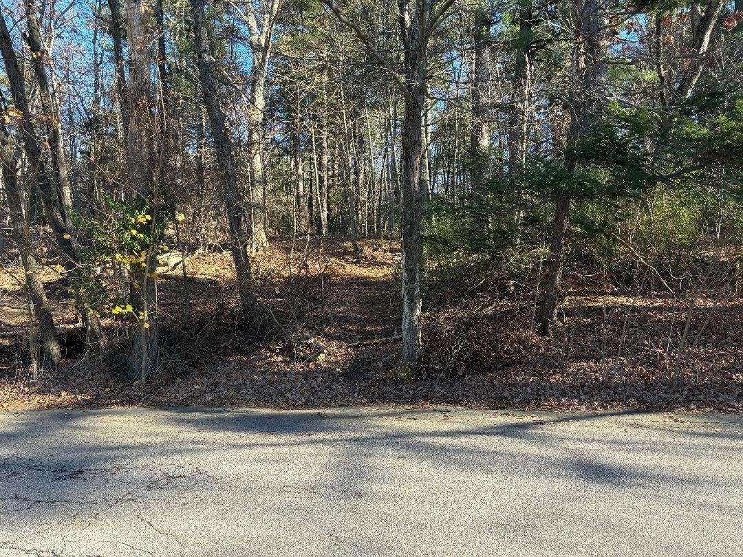 178 R Louis Street Holliston, MA 01746 - Photo 2 of 7 Gallery Image 2