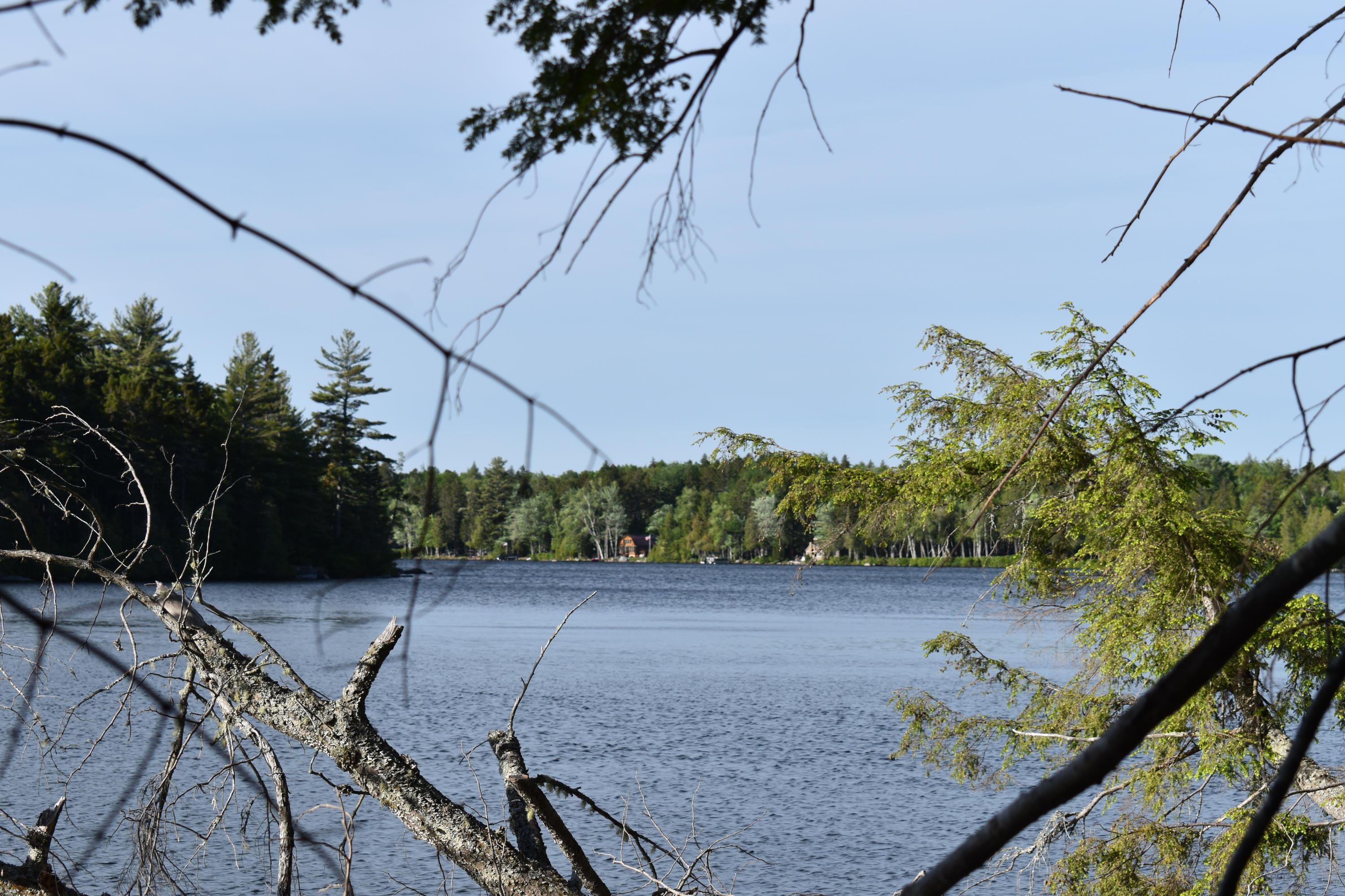Lot 1-b-10 Lot 1-b-10 Road Weston, ME 04424 - Photo 2 of 19 DSC_0150
