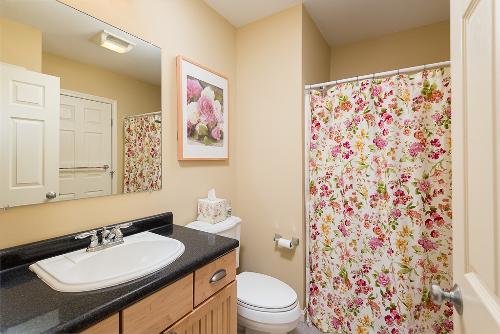39 Turtle Brook Road, Unit 39 Canton, MA 02021 - Photo 11 of 19 Gallery Image 11