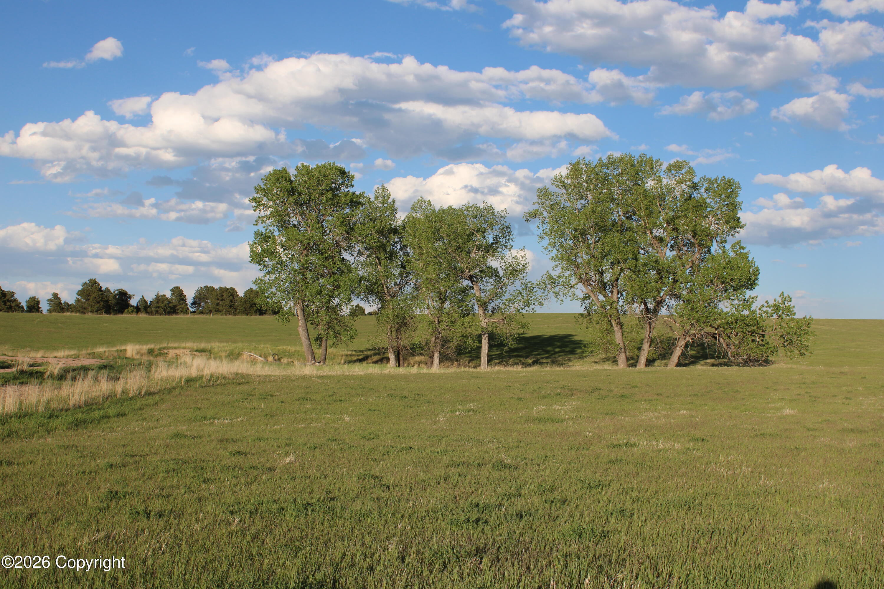 12 River Road Hulett, WY 82720 - Photo 8 of 23 Gallery Image 8