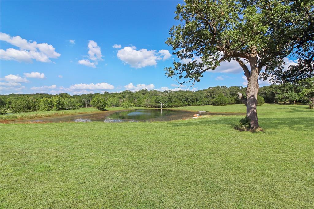 1001 Sandy Ridge Road Scurry, TX 75158 - Photo 30 of 35 Expansive green acreage featuring a substantial tree and a tranquil pond, bordered by lush natural landscaping