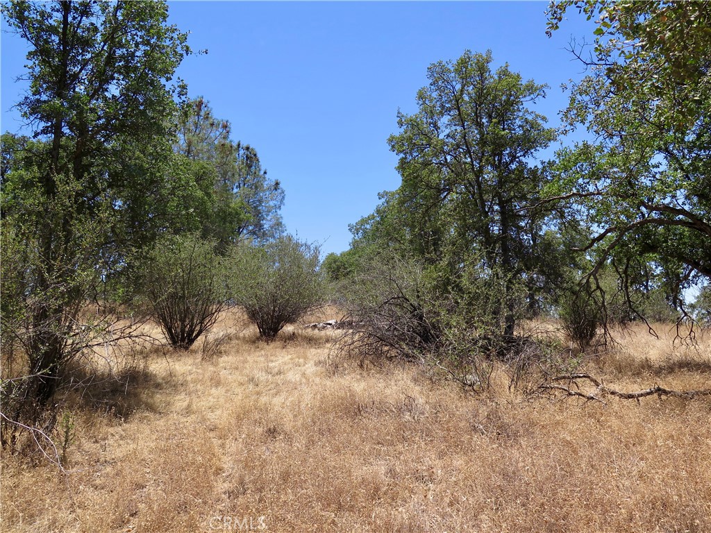 0 Ramblin Road Mariposa, CA 95338 - Photo 13 of 13
