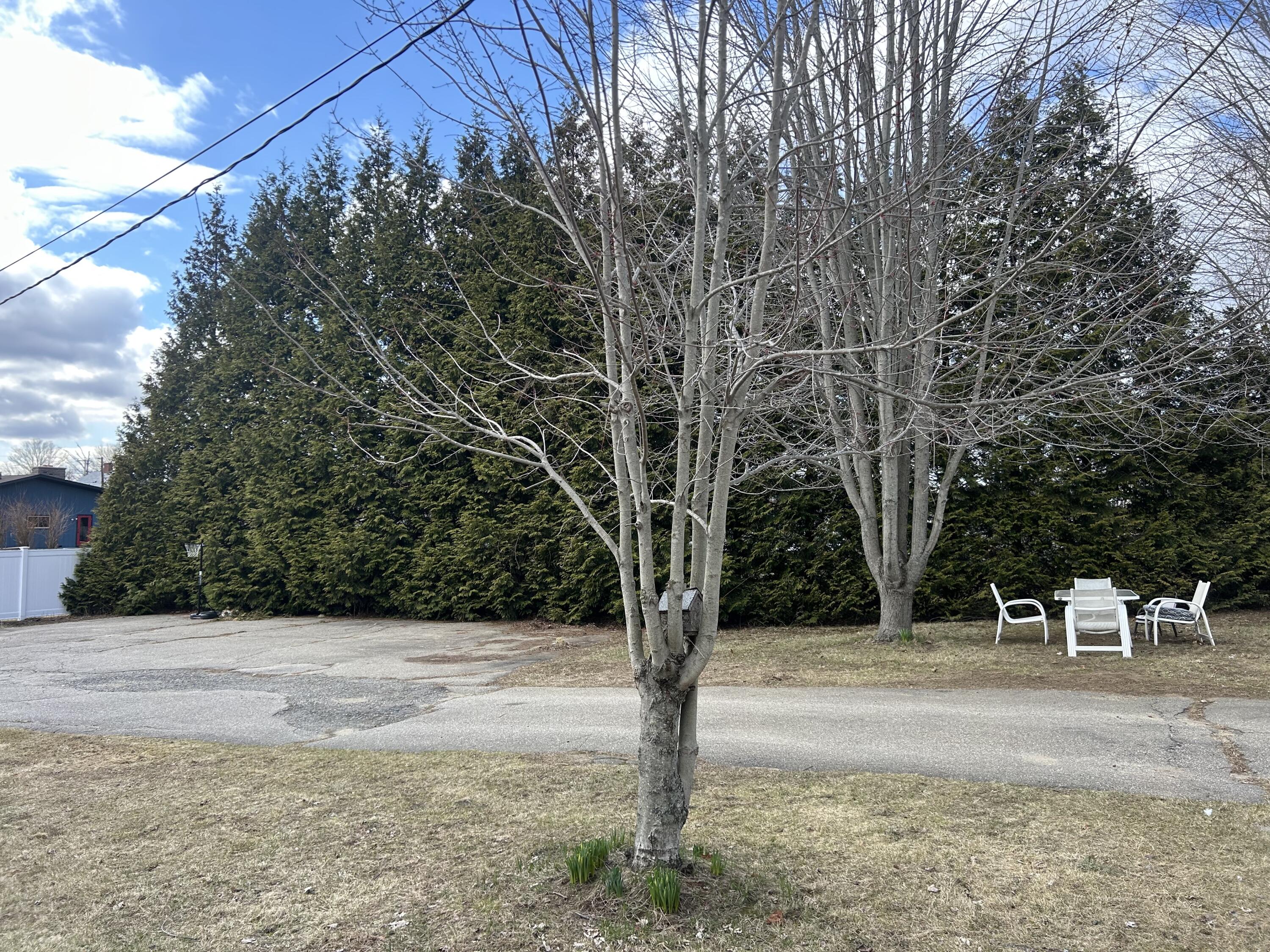 11 Burma Road North Berwick, ME 03906 - Photo 45 of 48 IMG_9641