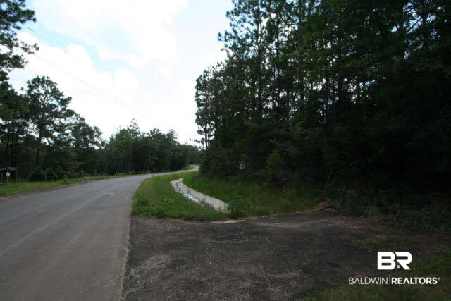 0 Timber Ridge Drive Chunchula, AL 36521 - Photo 5 of 5
