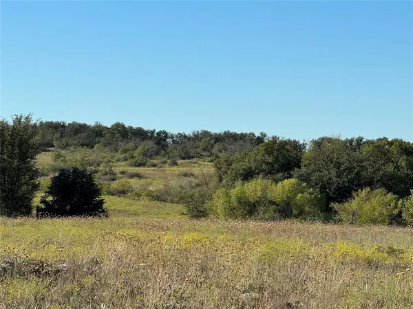 $75,000 | Tbd Tbd Mason Court, Dublin, TX 76446