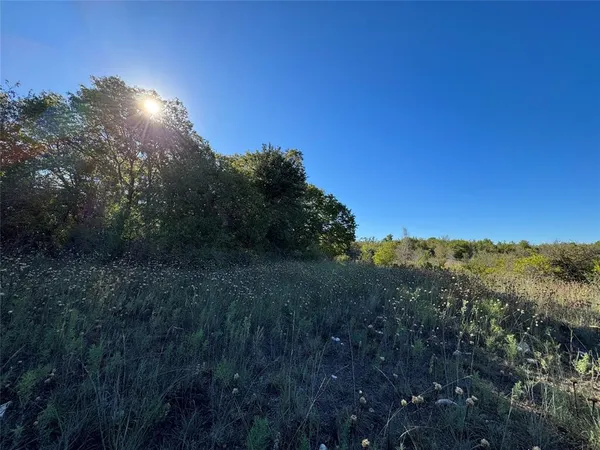 $75,000 | Tbd Tbd Mason Court, Dublin, TX 76446
