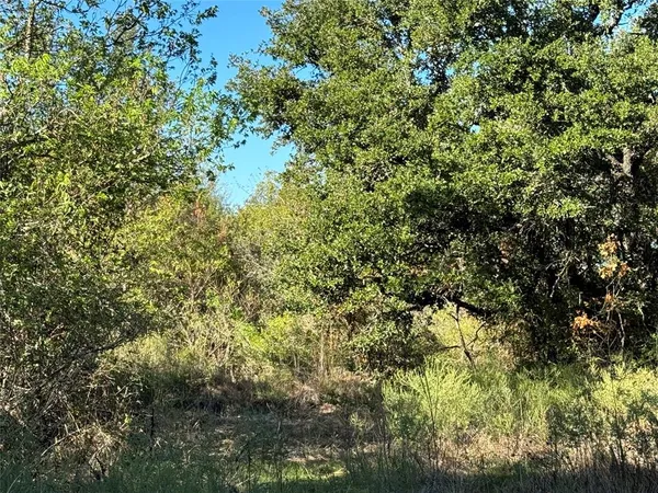 $75,000 | Tbd Tbd Mason Court, Dublin, TX 76446