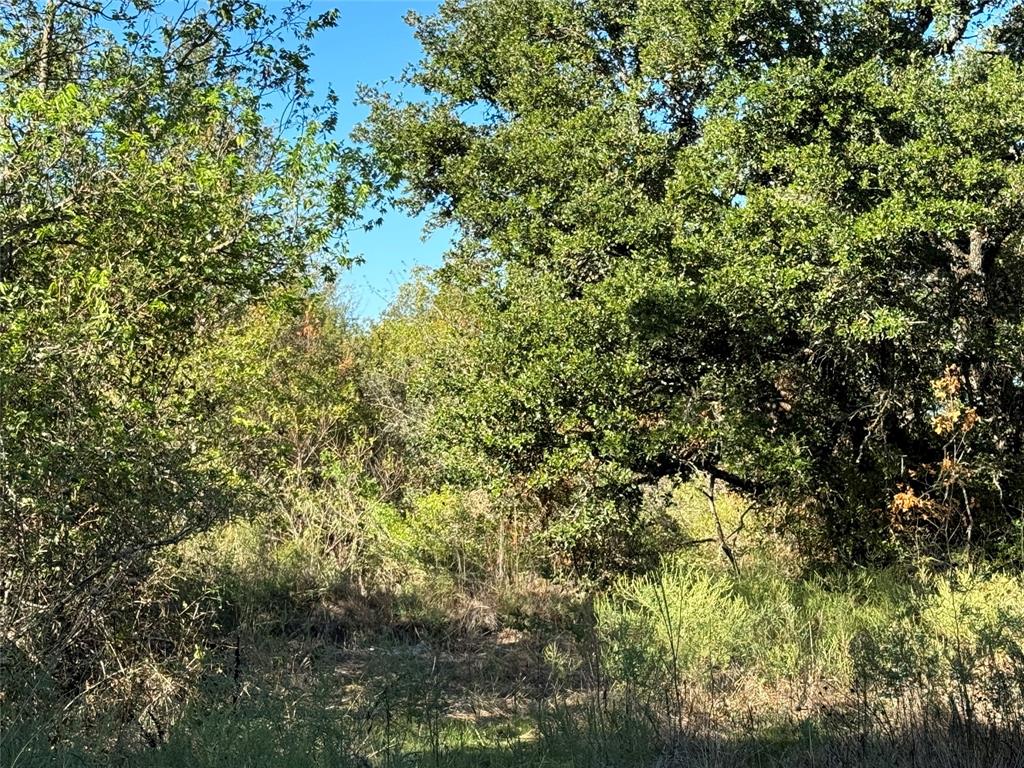 Tbd Tbd Mason Court Dublin, TX 76446 - Photo 15 of 21