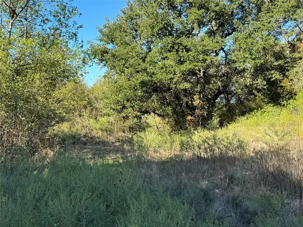$75,000 | Tbd Tbd Mason Court, Dublin, TX 76446