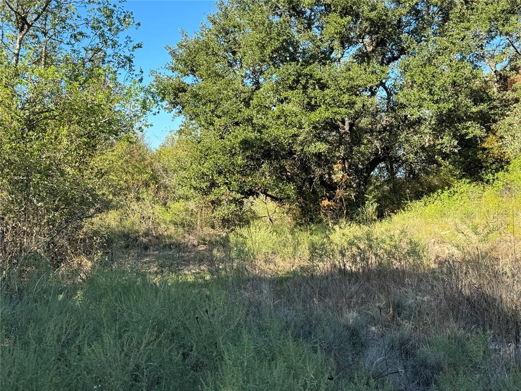 Tbd Tbd Mason Court Dublin, TX 76446 - Photo 21 of 21