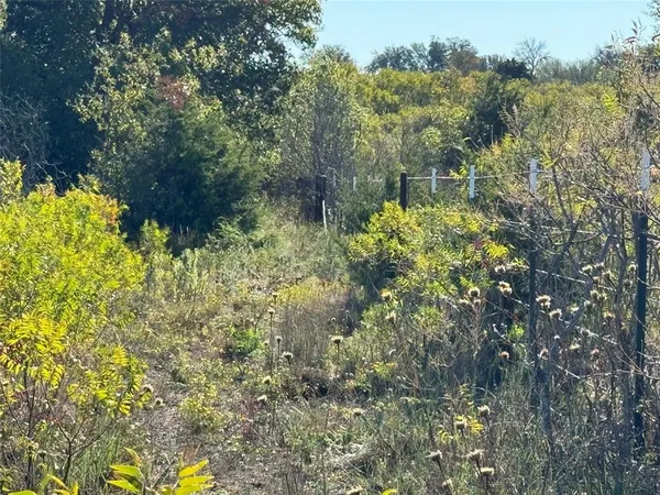 $75,000 | Tbd Tbd Mason Court, Dublin, TX 76446