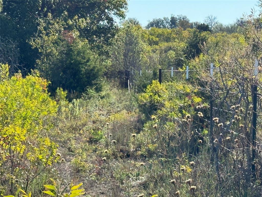 Tbd Tbd Mason Court Dublin, TX 76446 - Photo 8 of 21