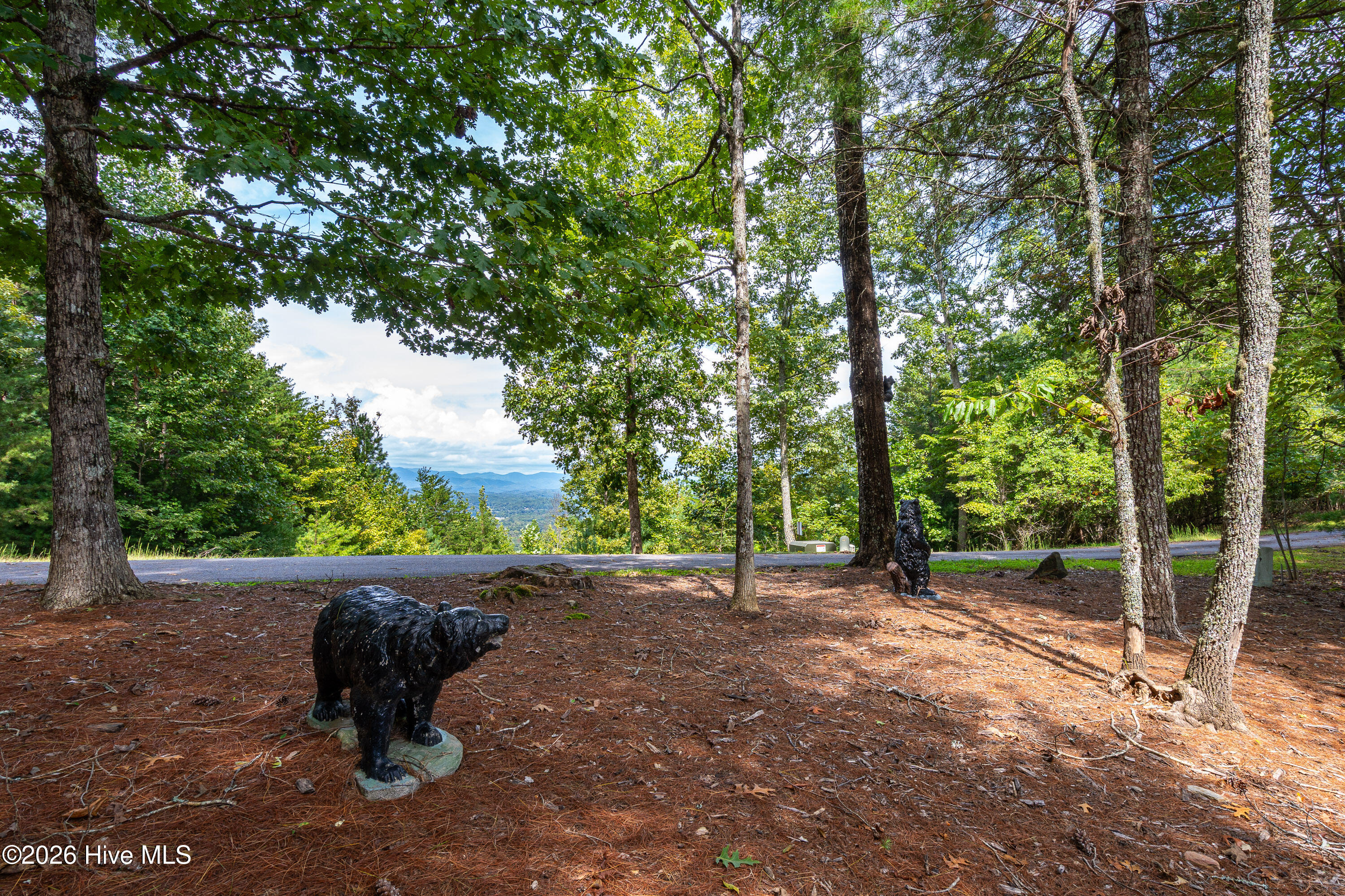 635 Brasstown View Road Brasstown, NC 28902 - Photo 42 of 58 Gallery Image 42