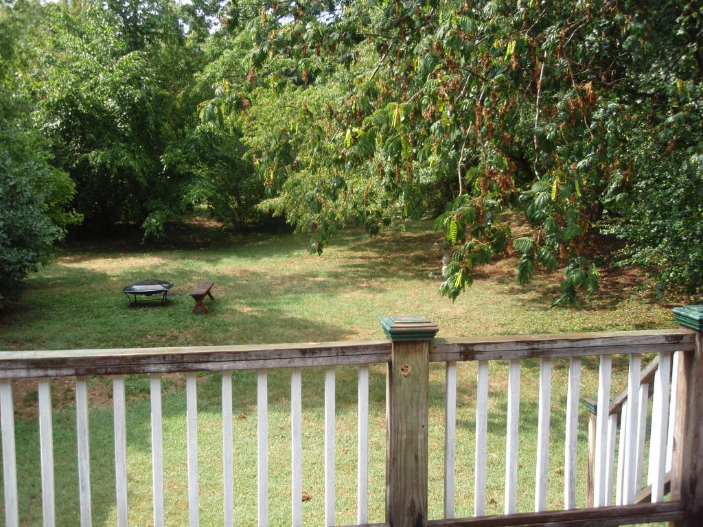 2449 Livingston Road Southwest Roanoke, VA 24015 - Photo 21 of 26 Level Backyard