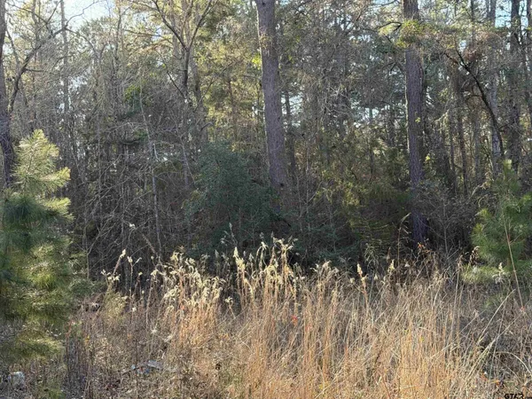 a view of a forest