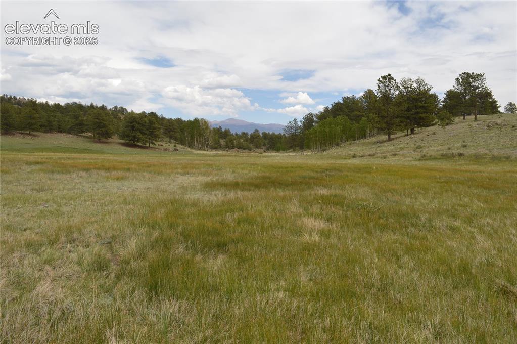 344 Valley Road Guffey, CO 80820 - Photo 15 of 15 a view of lake with green space