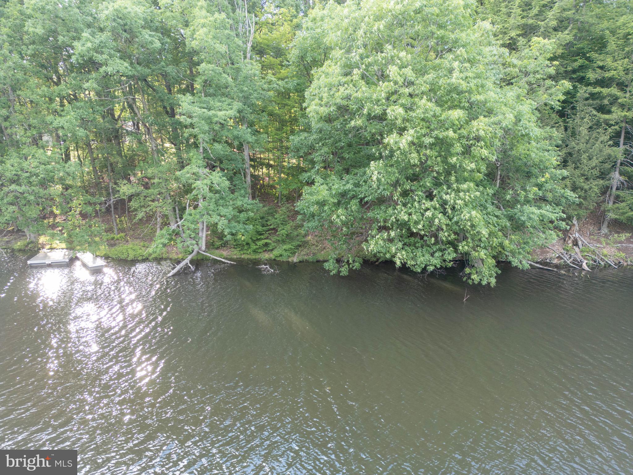 525 Brant Road Swanton, MD 21561 - Photo 11 of 24 Shoreline