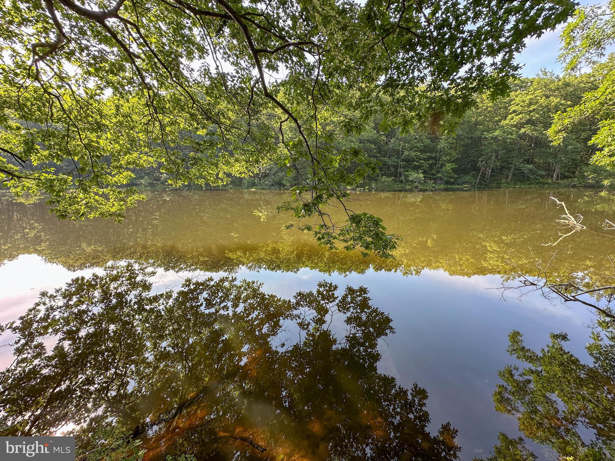 525 Brant Road Swanton, MD 21561 - Photo 19 of 24 Gallery Image 19