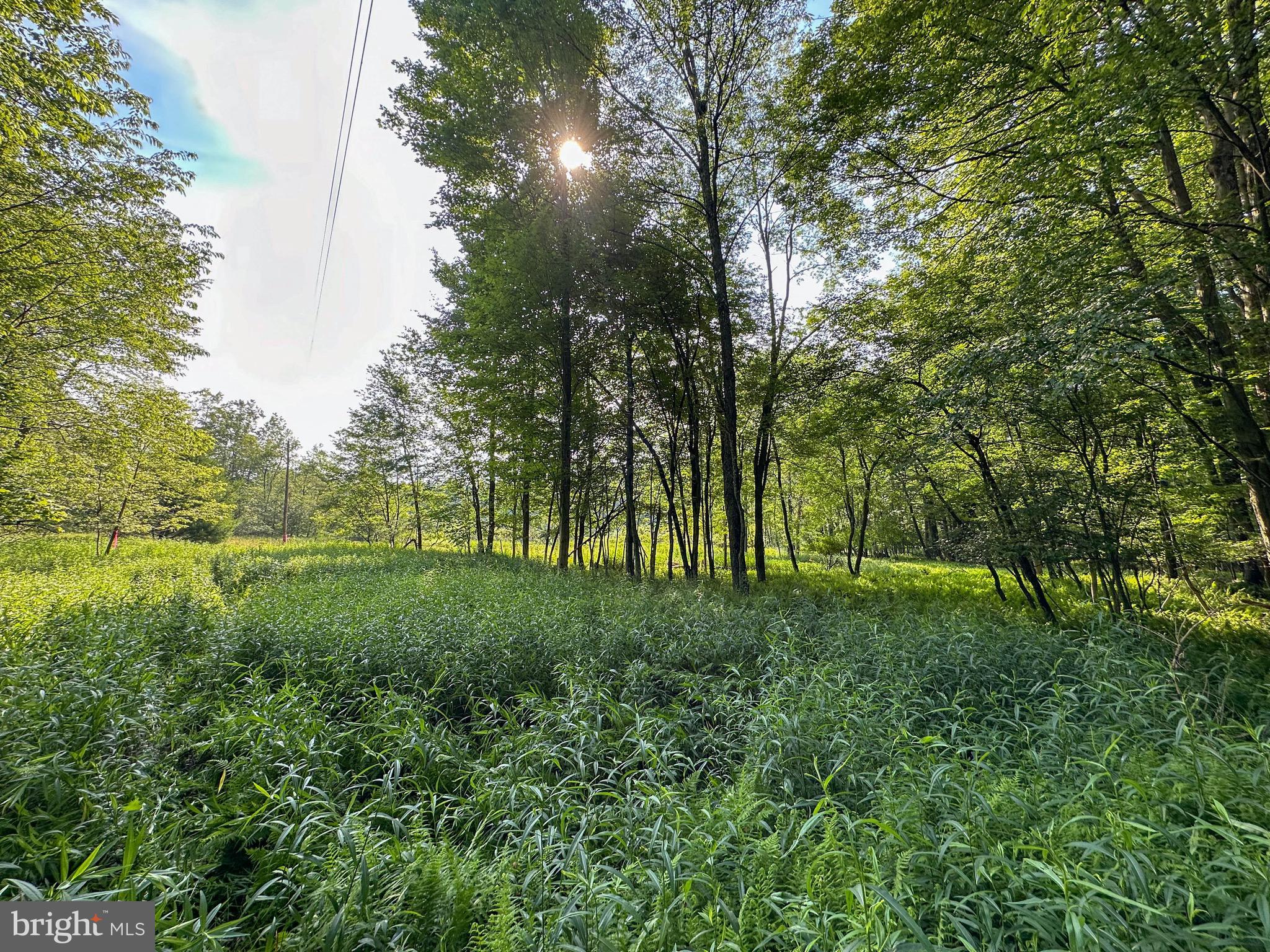 525 Brant Road Swanton, MD 21561 - Photo 20 of 24 Gallery Image 20