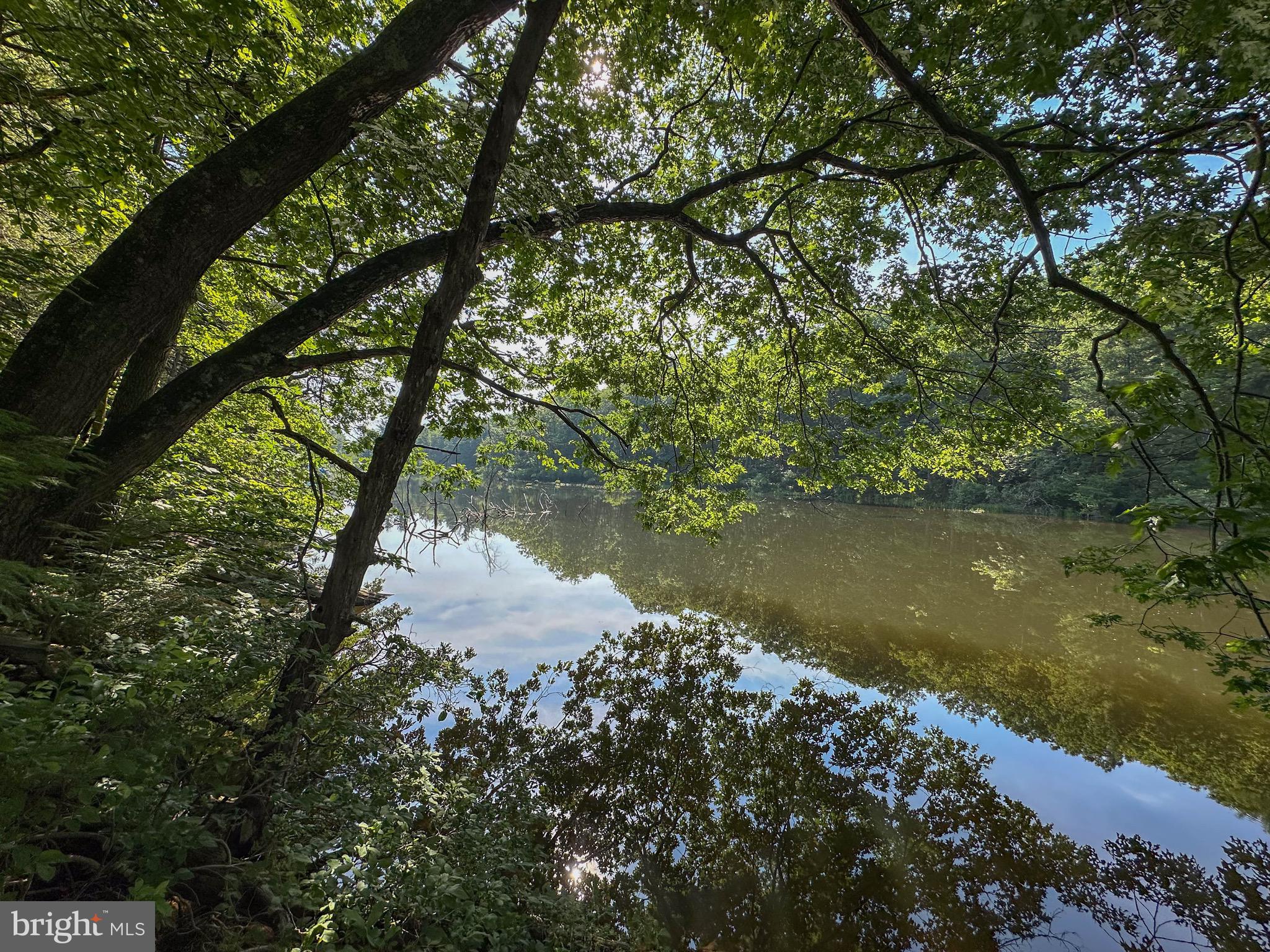 525 Brant Road Swanton, MD 21561 - Photo 23 of 24 Gallery Image 23