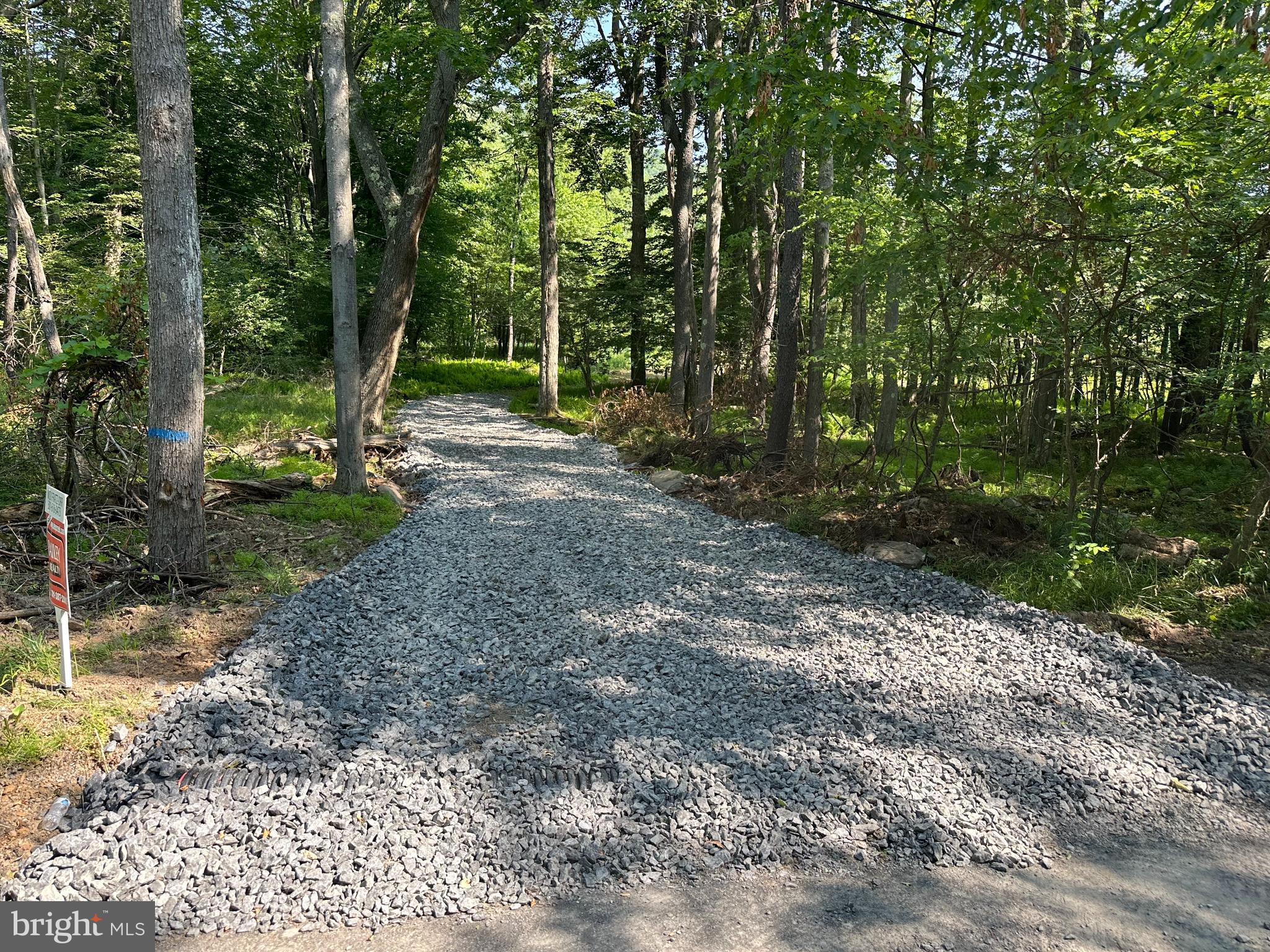 525 Brant Road Swanton, MD 21561 - Photo 4 of 24 Driveway entrance