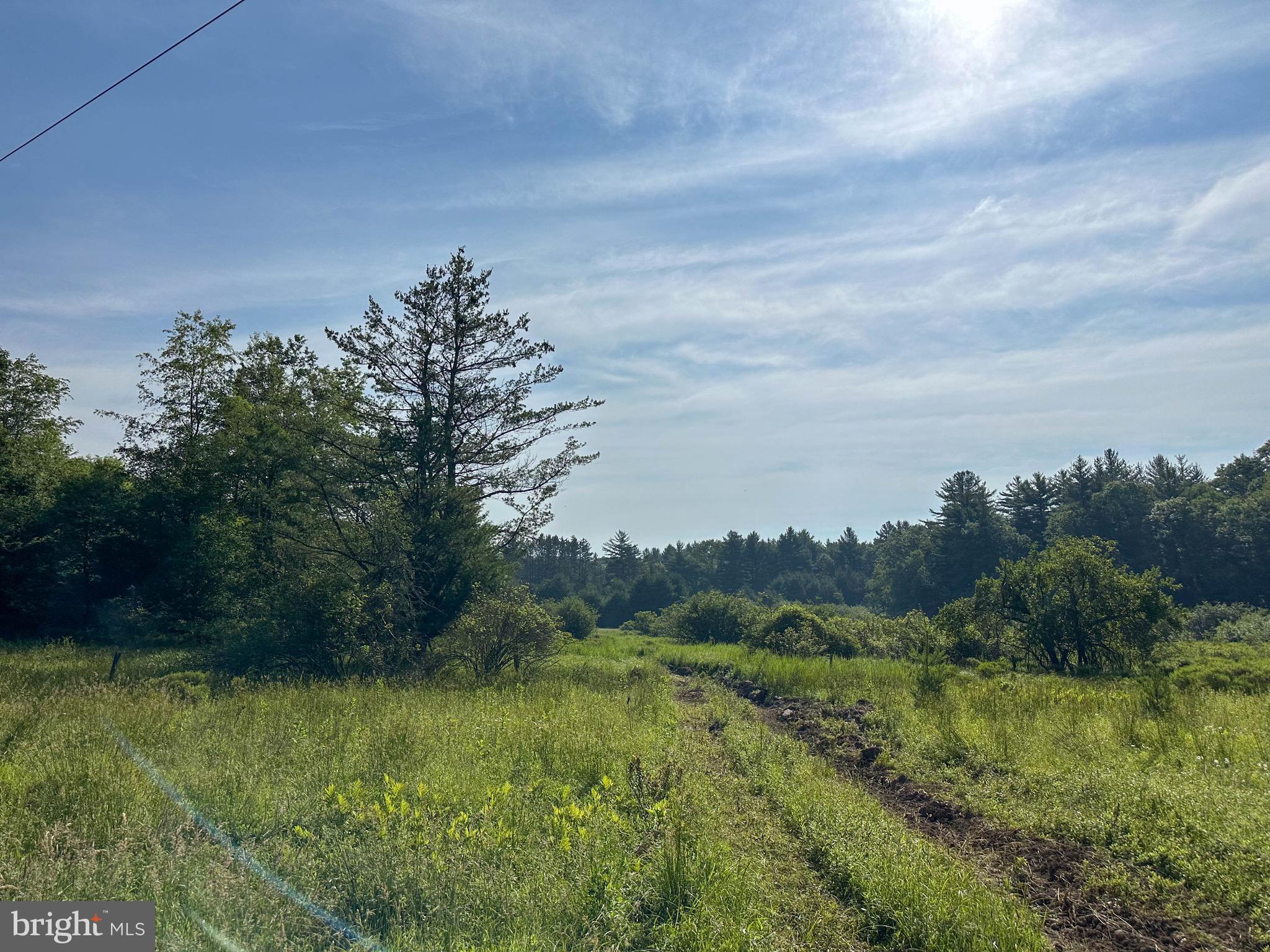 525 Brant Road Swanton, MD 21561 - Photo 5 of 24 Level Building Site