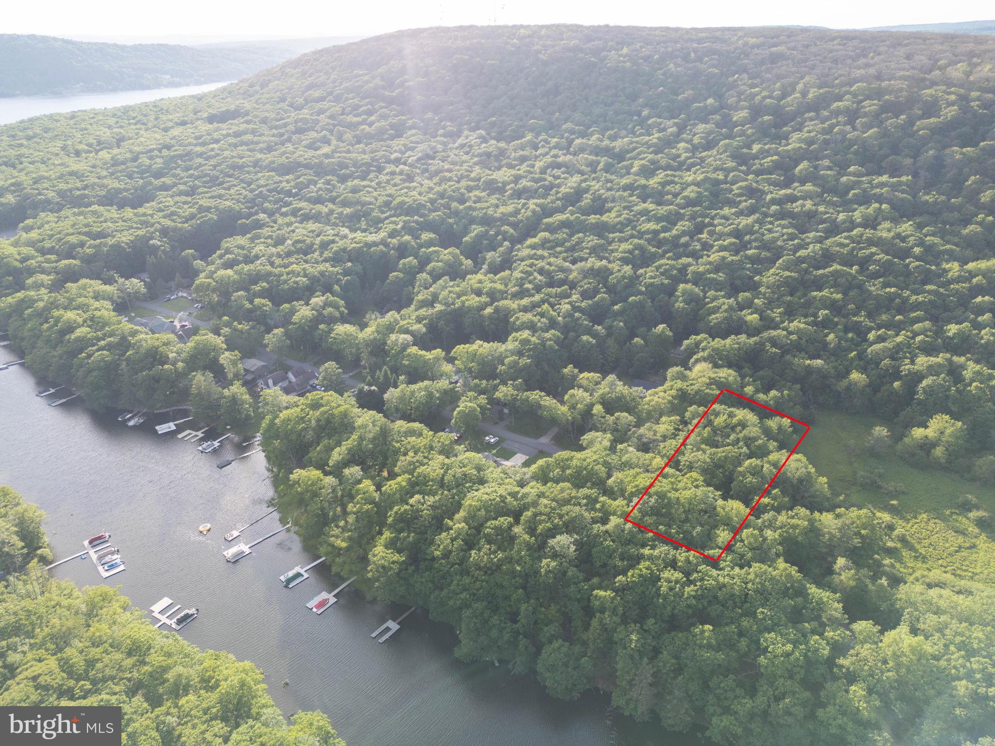 525 Brant Road Swanton, MD 21561 - Photo 8 of 24 1 acre split lakefront with TypeA dock eligibility