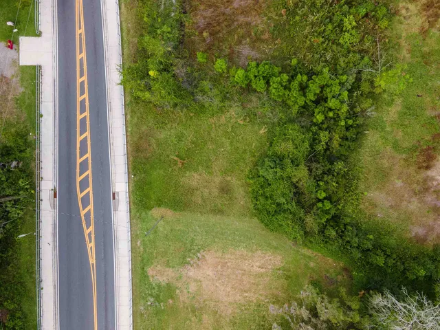 a view of a yard from a corridor