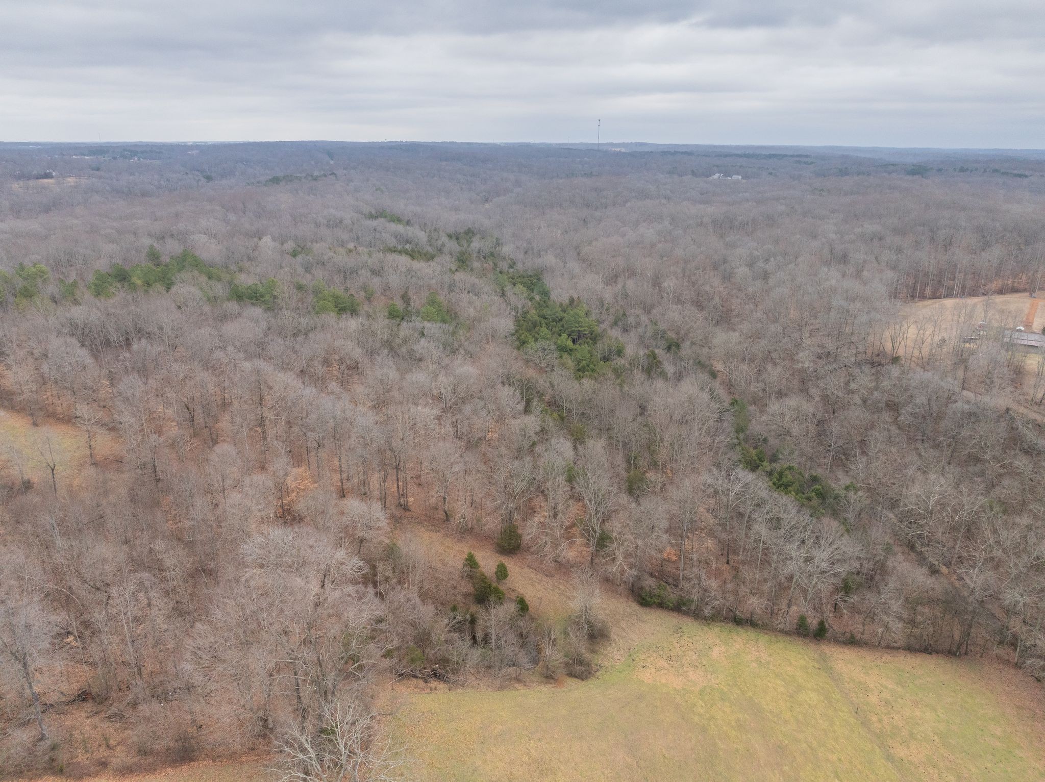 0 Wiley Branch Road Dickson, TN 37055 - Photo 5 of 27