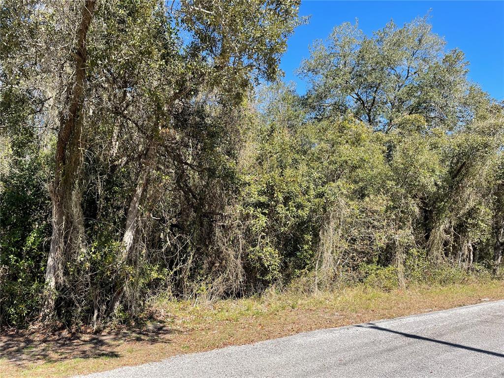 Noon Ct Spring Hill Spring Hill, FL 34610 - Photo 1 of 1