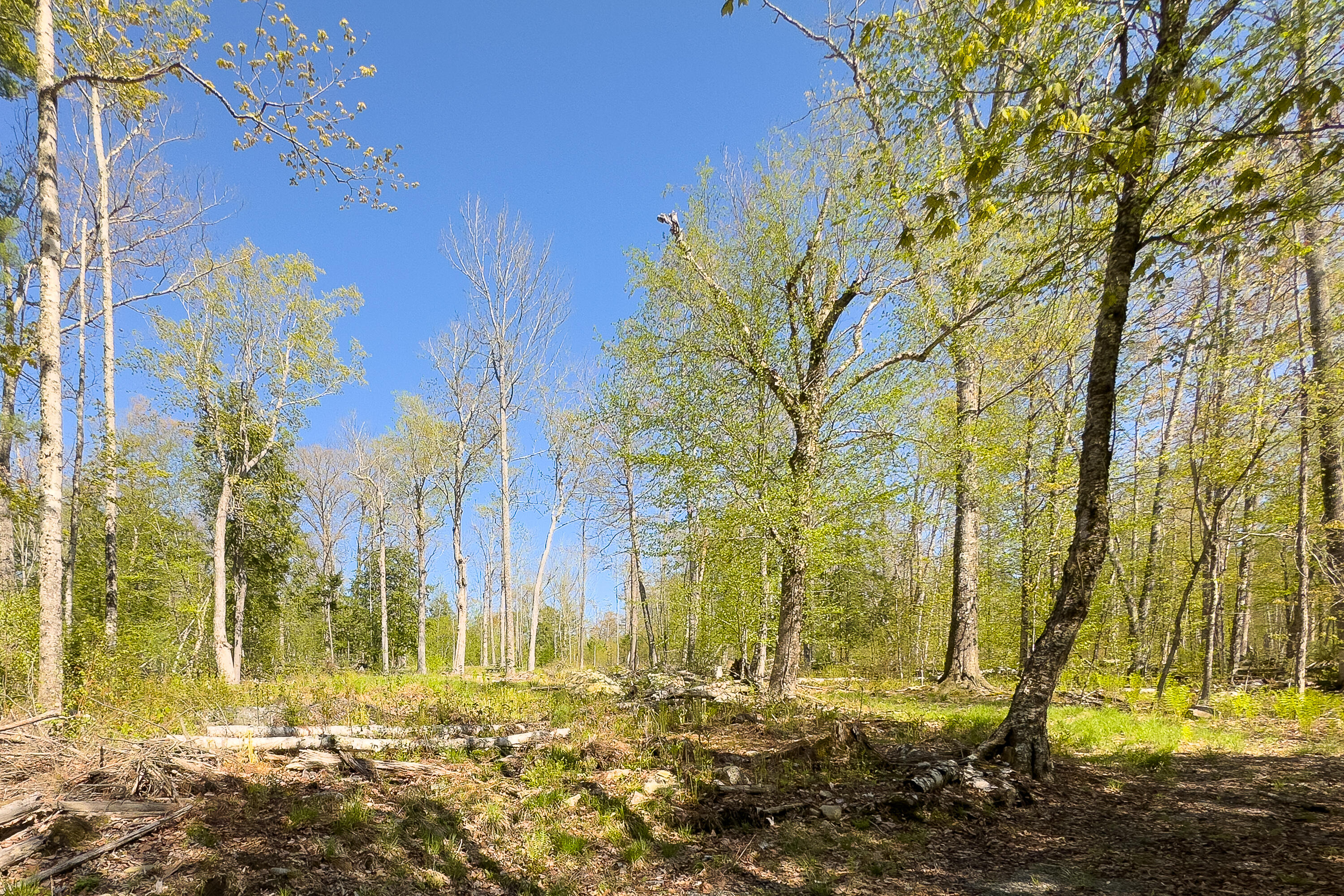Lot 1 East Dunn Road Belgrade, ME 04917 - Photo 10 of 18 29_Lott_1E_Dunn_Rd_Belgrade_S_print