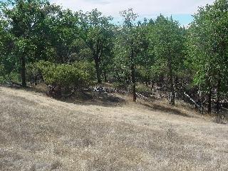 3409 Ridgewood Road Willits, CA 95490 - Photo 3 of 4