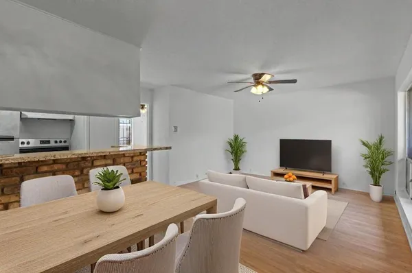 a living room with furniture and a potted plant