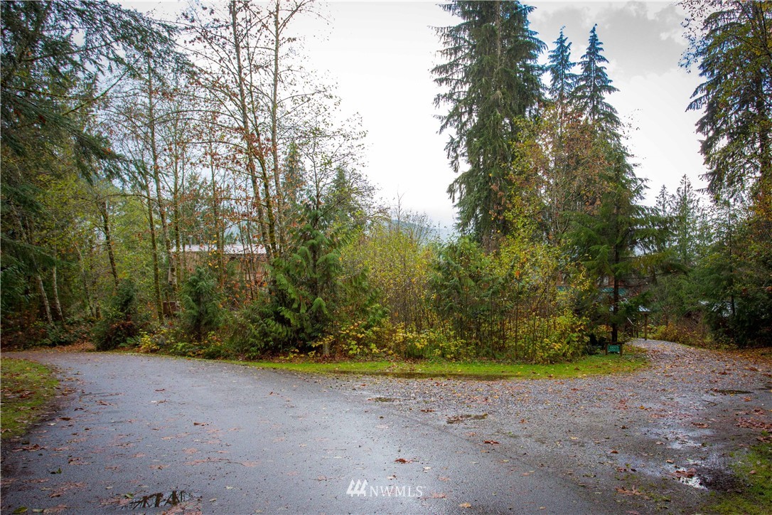 11074 Alpine Road Deming, WA 98244 - Photo 1 of 18 Gallery Image 1
